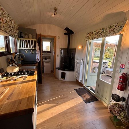 Bed and Breakfast Bron Hafren Montgomery Exterior foto
