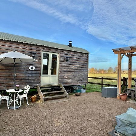 Bed and Breakfast Bron Hafren Montgomery Exterior foto