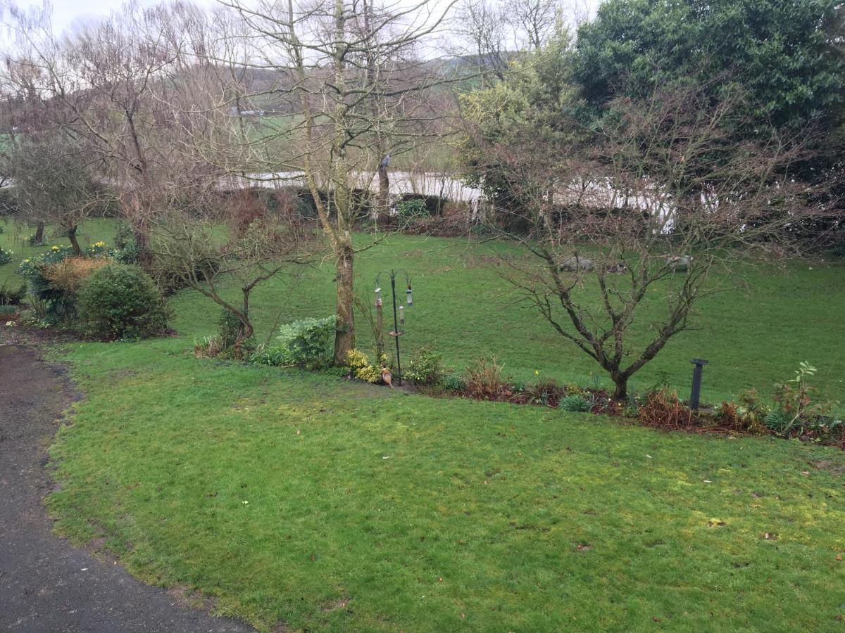 Bed and Breakfast Bron Hafren Montgomery Exterior foto