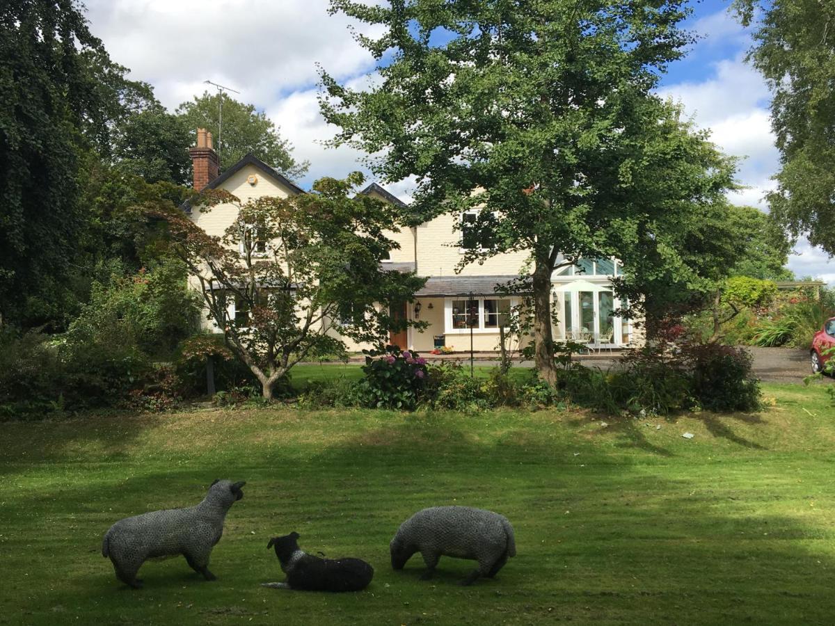 Bed and Breakfast Bron Hafren Montgomery Exterior foto